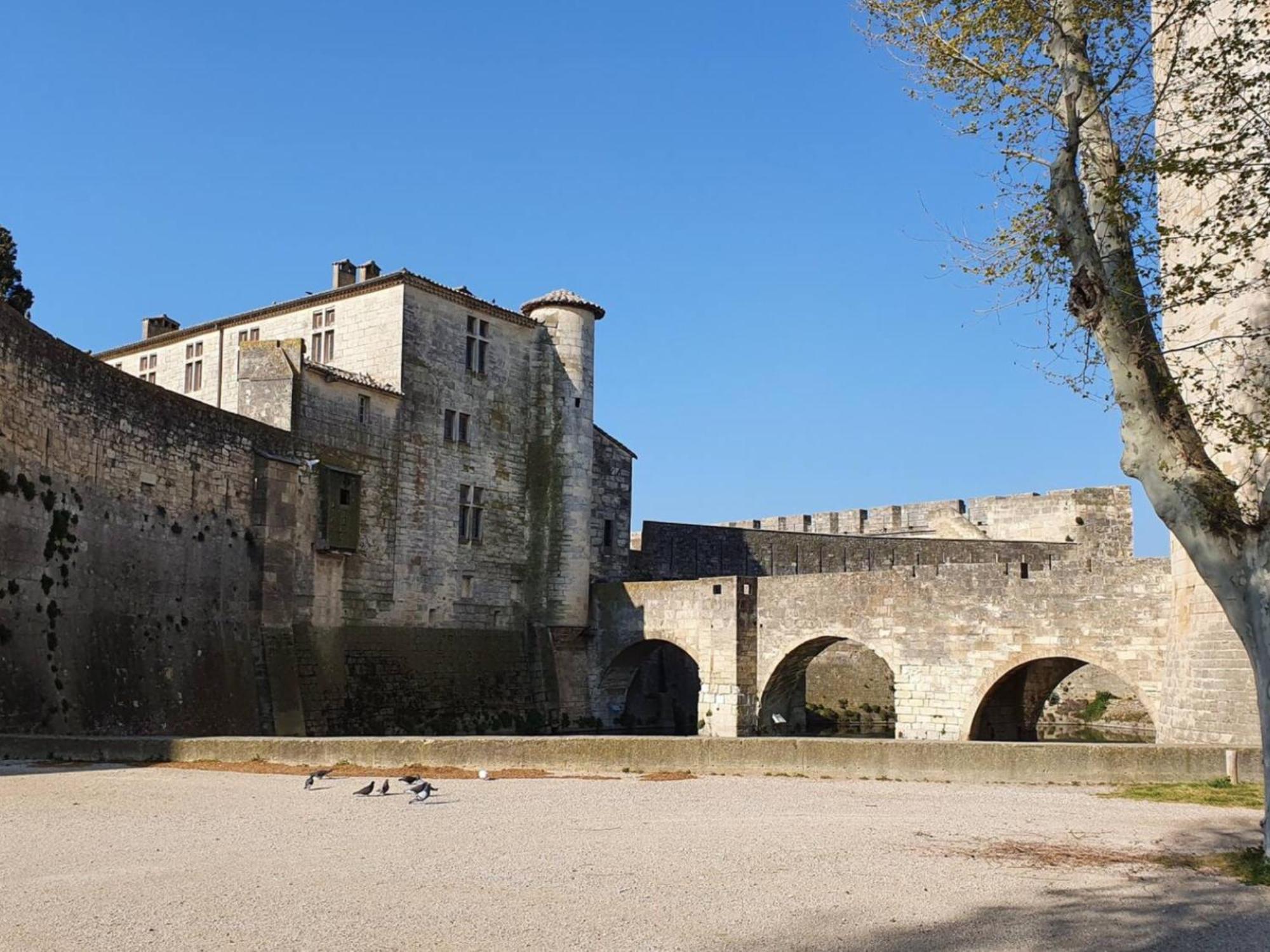 Maison Cosy, 2 Chambres, Adossee Aux Remparts Aigues-Mortes Exterior foto